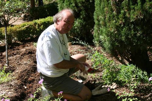 A volunteer helps in the garden