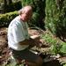 A volunteer helps in the garden