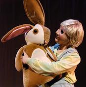 Velveteen Boy Rabbit