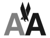 American Airlines