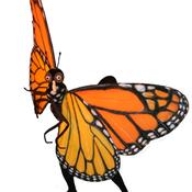 Butterfly: Story of a Life Cycle