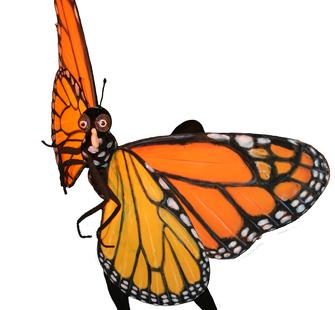 Butterfly: Story of a Life Cycle