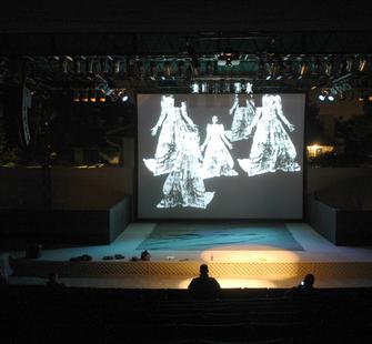 Divide Light Stage Projections