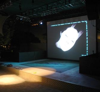 Divide Light Stage Projections