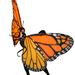 Butterfly: Story of a Life Cycle