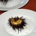 Urchin from Le Papillon