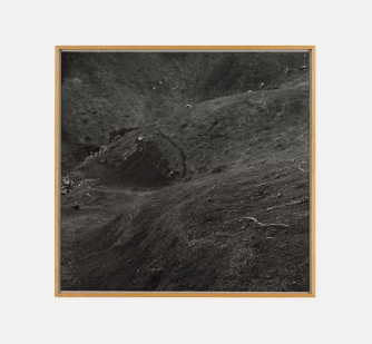 Jan Henle