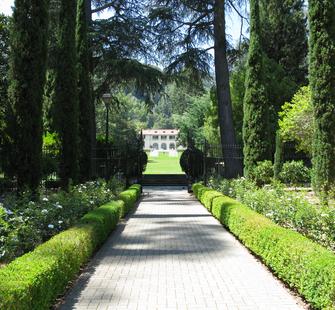 Montalvo Arts Center
