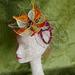 Whimsical Hats