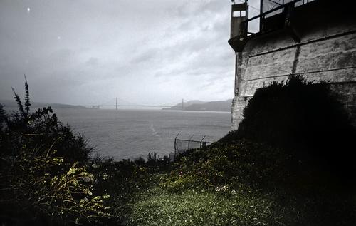 Alcatraz