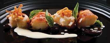 Food & Wine