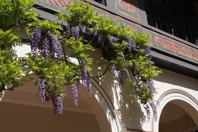 Montalvo Arts Center
