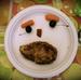 Fun With Food Small