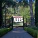 The Great Lawn at Montalvo
