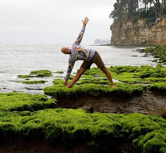 Jan Hutchins - Yoga at Montalvo