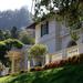 The Historic Villa at Montalvo Arts Center