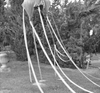 "The Golden Egg Canopy" (2010, from the HAYWIRE series), by David Middlebrook
