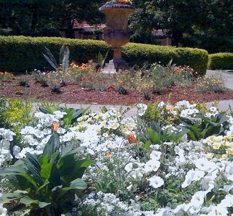 Spring flowers visible from the Oval Garden