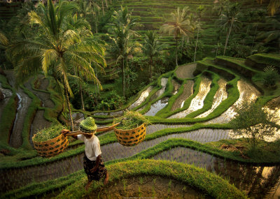 Bali, Indonesia