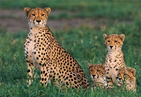 South Africa