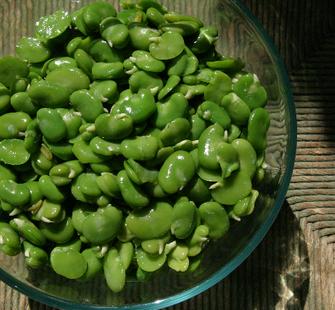A bowl of perfectly prepared fava beans.