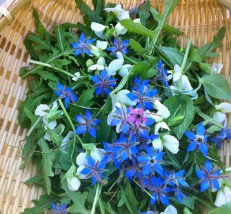 Beautiful spring greens with flowers from the garden.