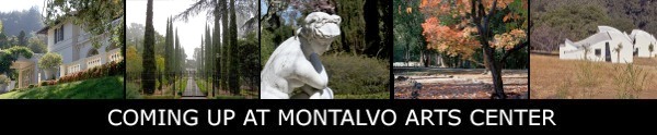 Coming Up at Montalvo Arts Center