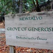 The Grove of Generosity