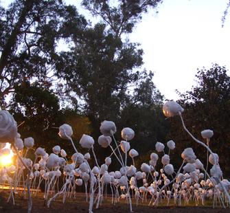 "Mighty Like a Flower" (2011), by Claudia Borgna