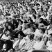 Seated public on Montalvo’s Front Lawn, photographer unknown, c. 2000-04. Montalvo Arts Center Archive.