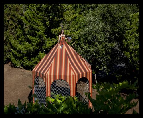 Edible Dress Tent