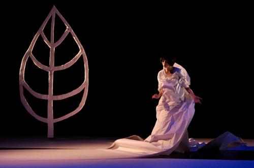 Scarecrow Contemporary Dance Co