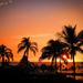 Hawaii in the evening