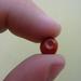 A manzanita berry.