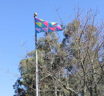 Irrational Exuberance Flag by Christine Wong Yap