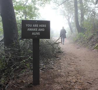 "A Healing Walk," by Susan O'Malley